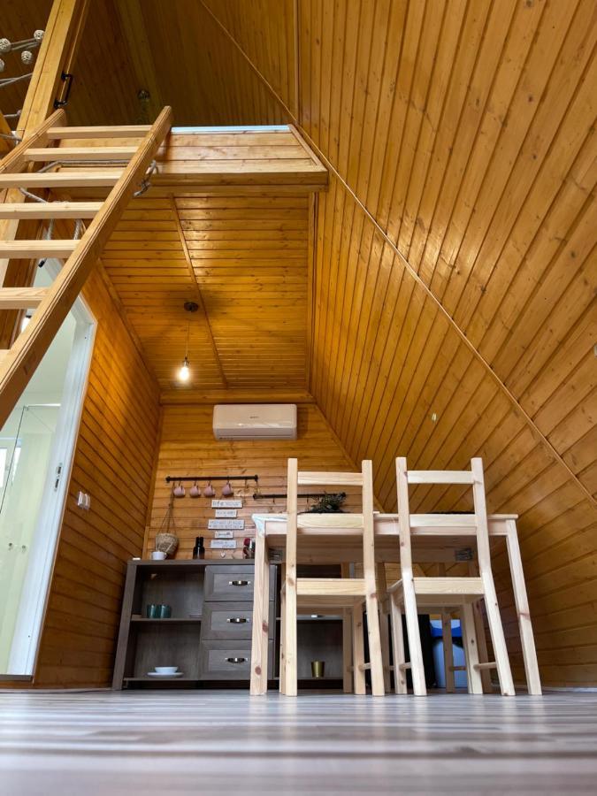 Cabane A-Frame Svinita Экстерьер фото