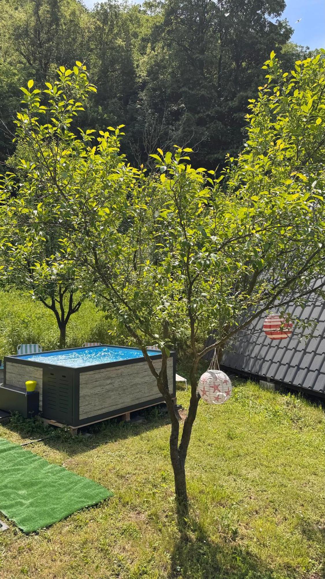 Cabane A-Frame Svinita Экстерьер фото